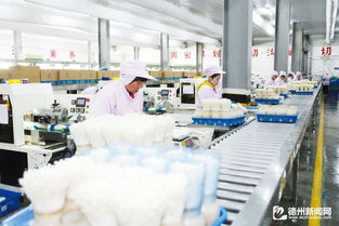 山東雪榕生物 工廠化生產 小菌菇直供京津冀